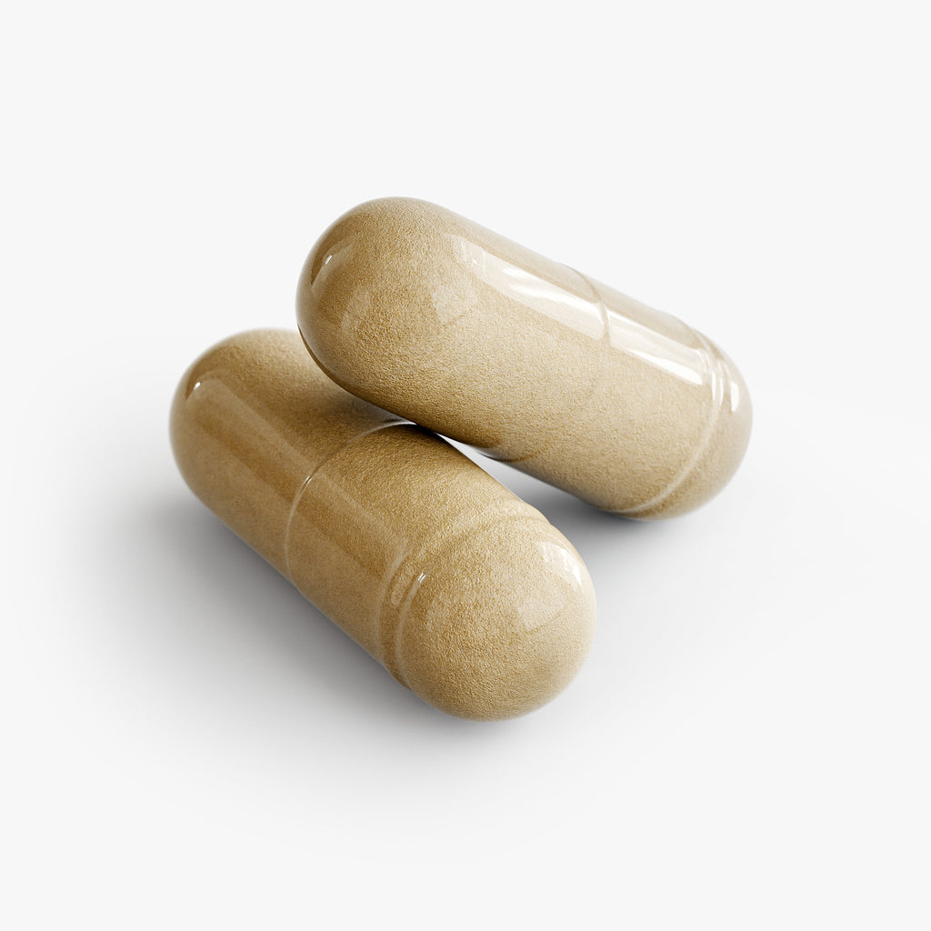 Benzoliv — Moringa Pure Capsules